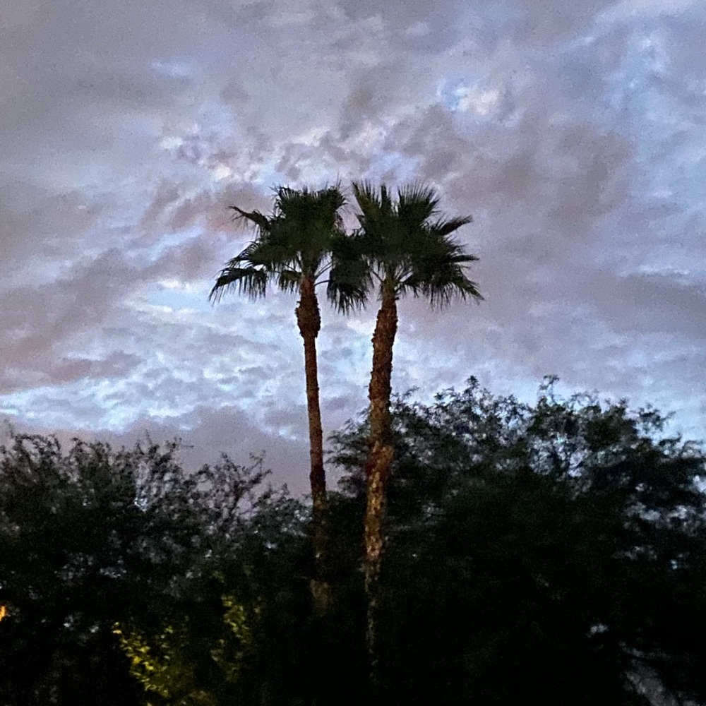 Meet your Posher, Posh